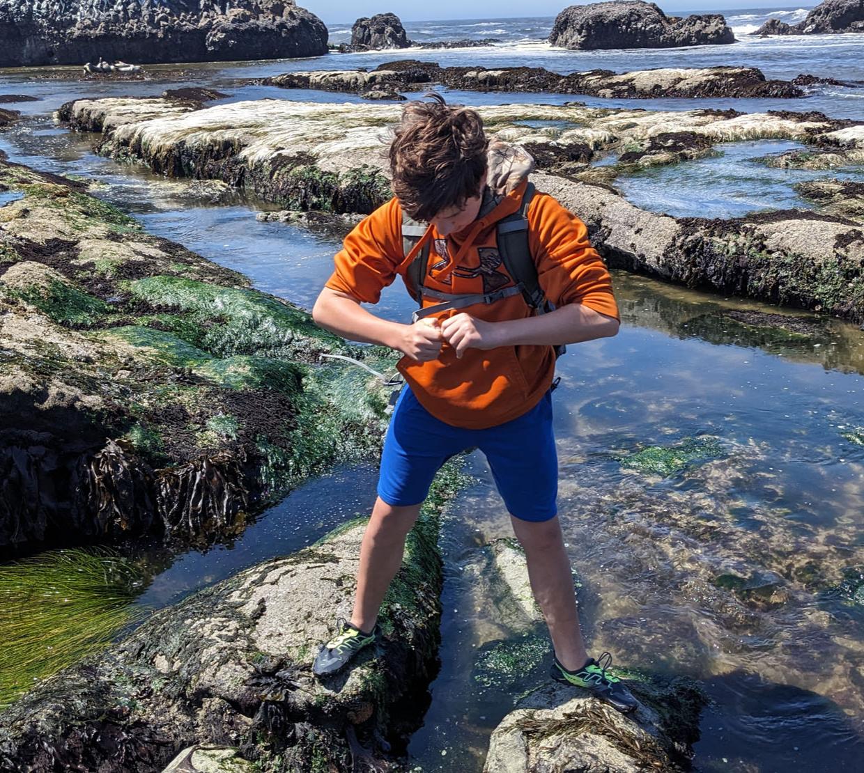 A kid stands in the water holding wildlife on the Oregon coast