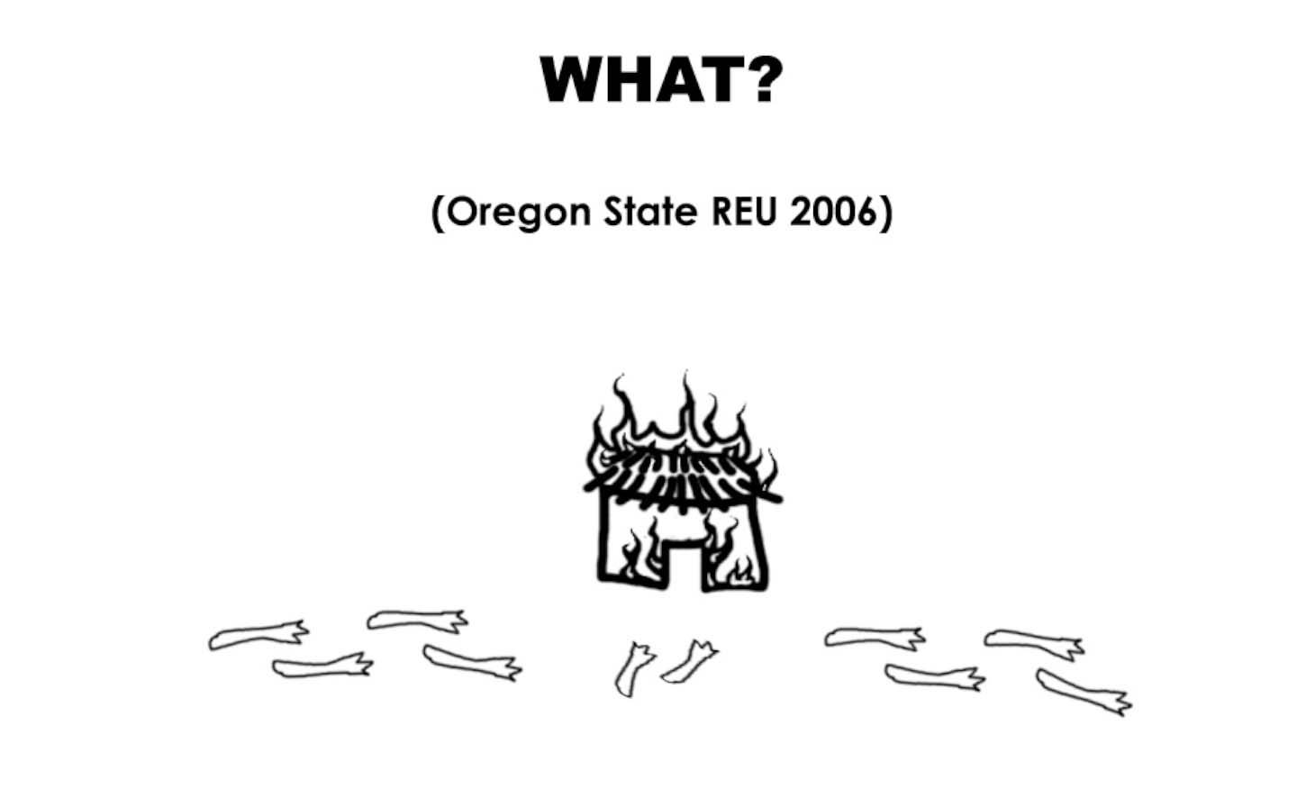 The front image of the OSU REU t shirt in 2006.