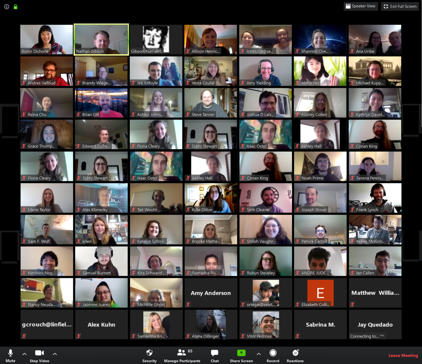 Screenshot of participants of NUMS/PiMUC 2020 on Zoom.